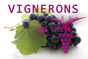 VIGNERONS DES RICEYS